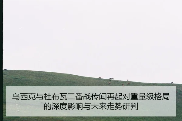 乌西克与杜布瓦二番战传闻再起对重量级格局的深度影响与未来走势研判